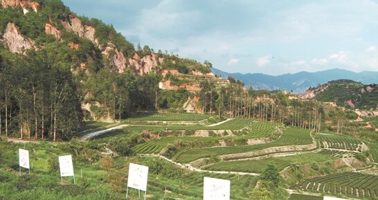 安溪縣官橋龍門花崗巖礦山地質治理工程